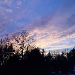 Meet your Posher, Cheyenne